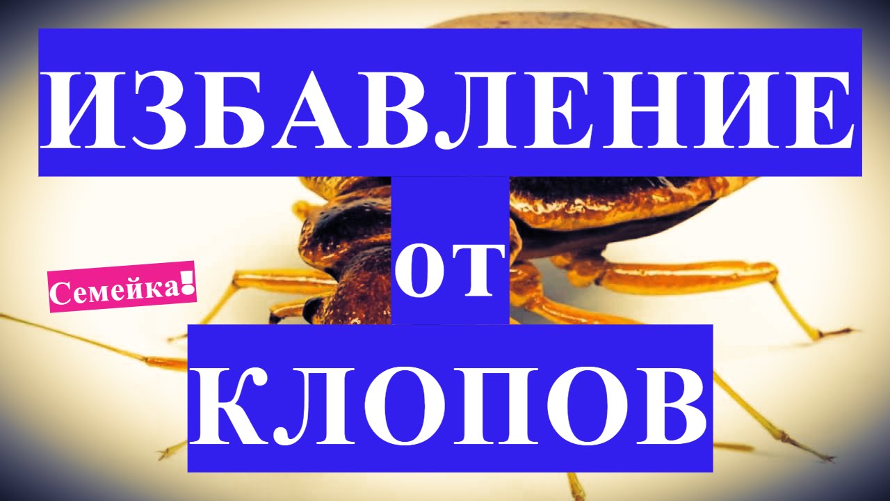 Где получить свидетельство о праве собственности на квартиру — советы и рекомендации